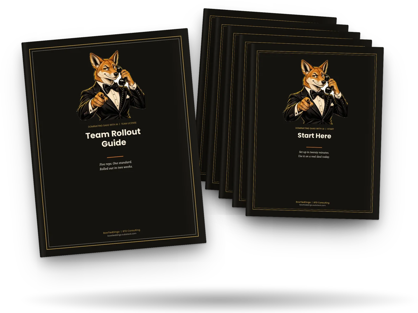 The Team Rollout Guide in front of five copies of the course